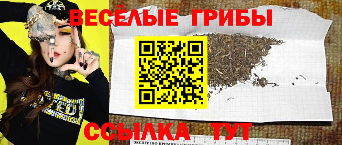 Междуреченск  Галлюциногенные грибы GOLDEN TEACHER  Вход с VPN 