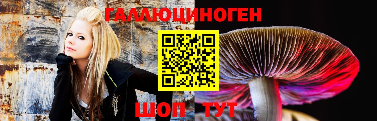 Галлюциногенные грибы прущие грибы Междуреченск