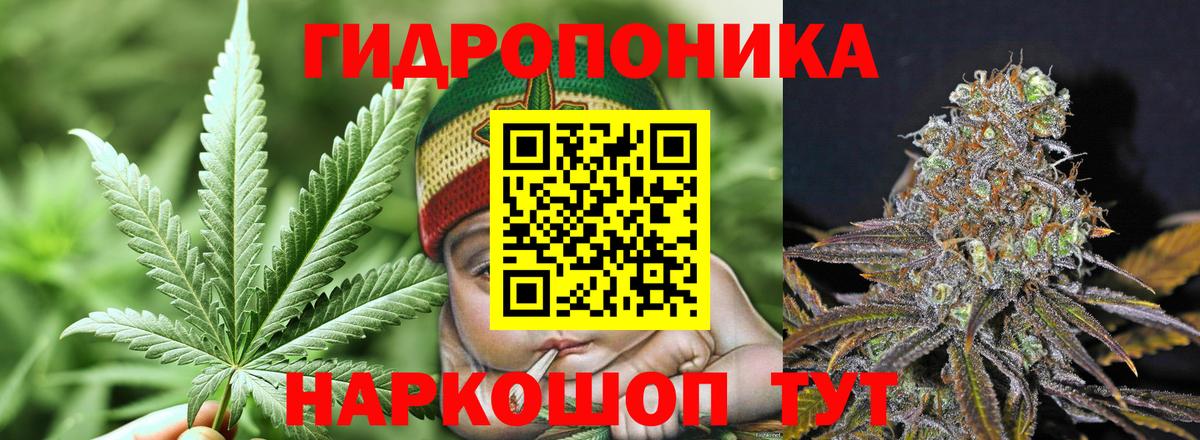 Шишки марихуана Bruce Banner Междуреченск